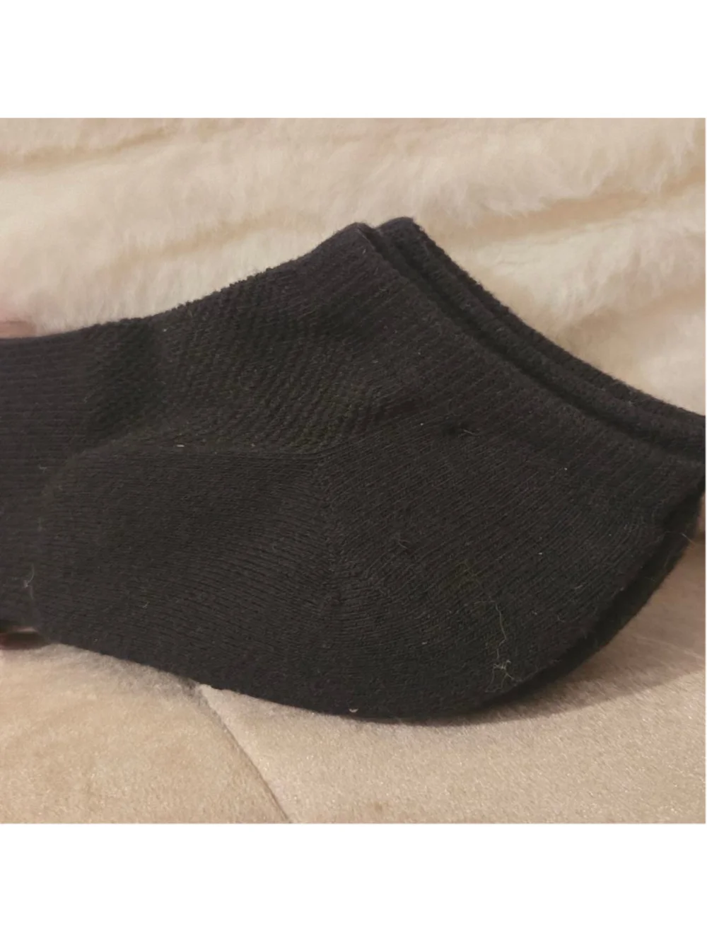 Women's On The Go! Black Low Cut Cushion Cotton Blend Socks